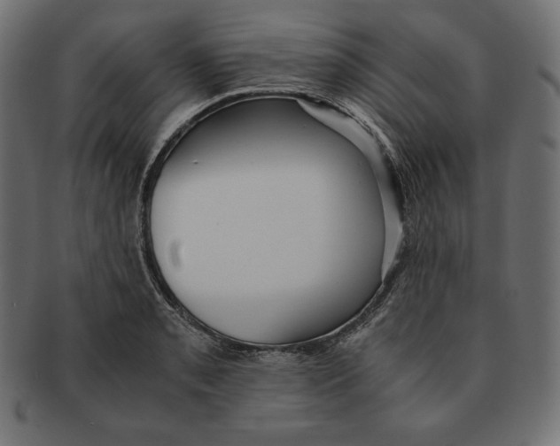 X0000091681085200709201234