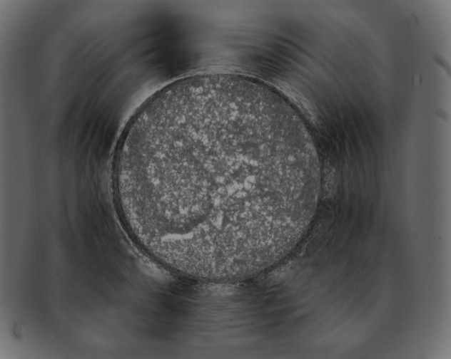 X0000091681086200709201234