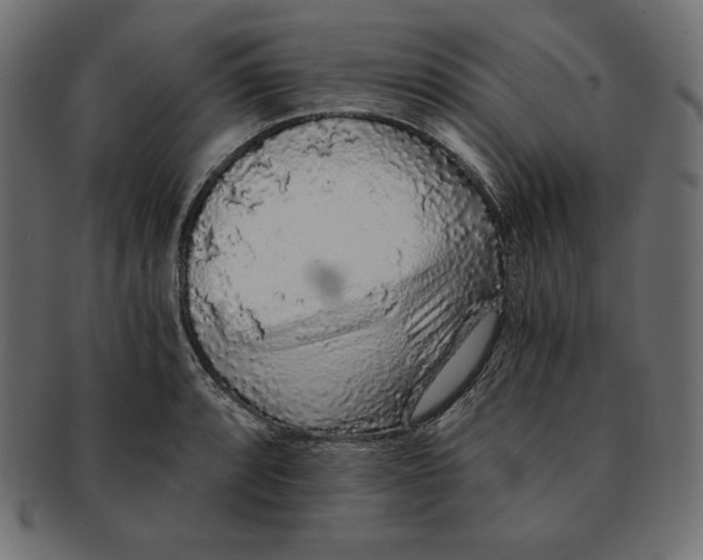 X0000091681088200709201234