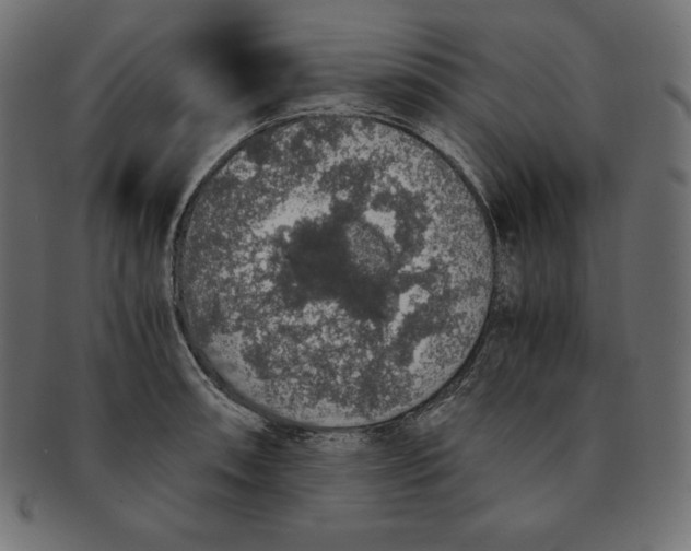 X0000091681090200709201234