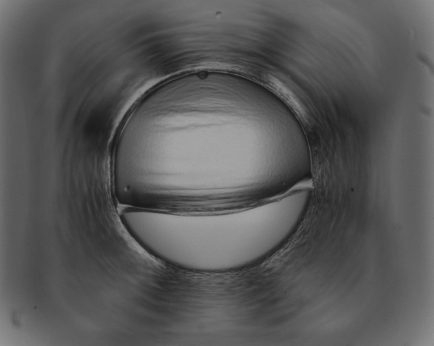 X0000091681092200709201234