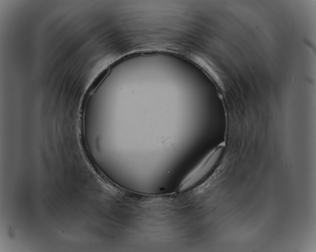 X0000091681093200709201234