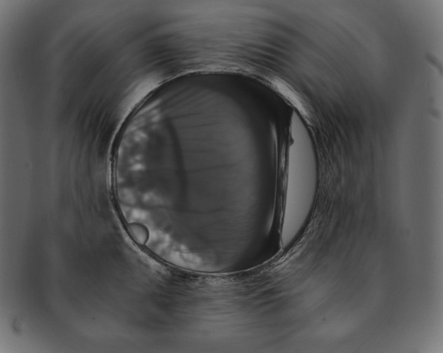 X0000091681095200709201234