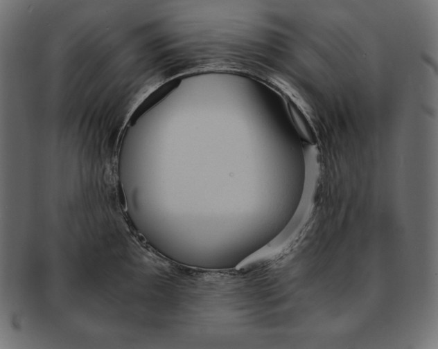 X0000091681097200709201234