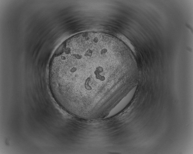 X0000091681099200709201234