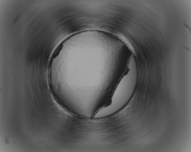 X0000091681100200709201234