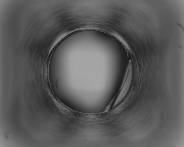 X0000091681101200709201234