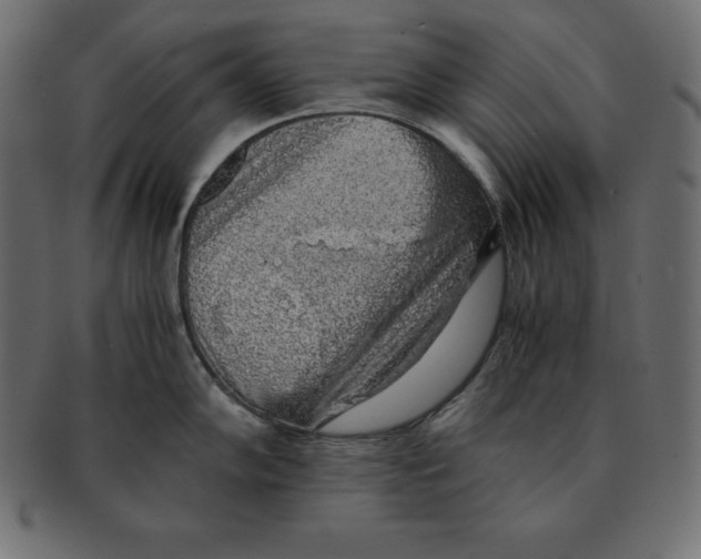 X0000091681102200709201234