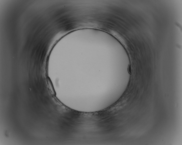 X0000091681104200709201234