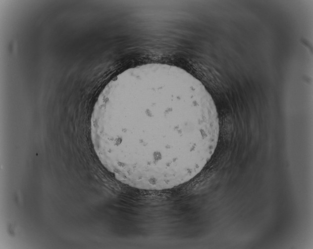 X0000091681105200709201233