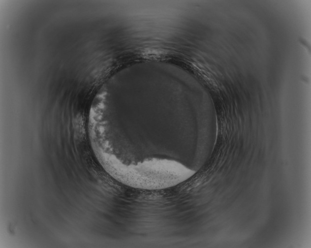 X0000091681106200709201233