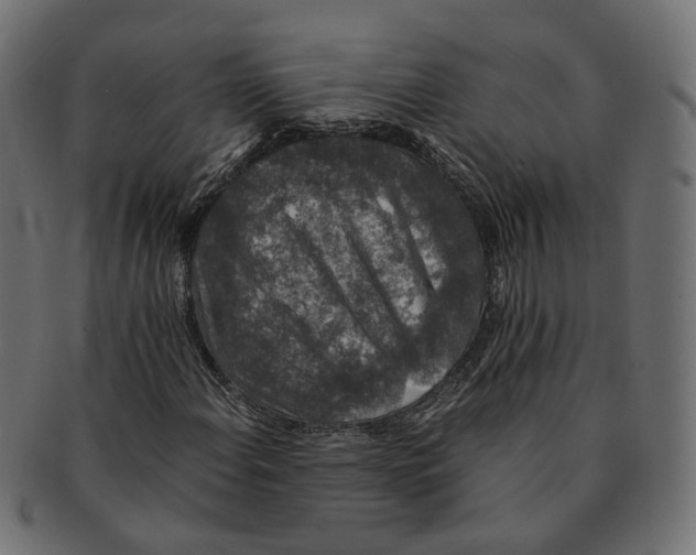 X0000091681108200709201233