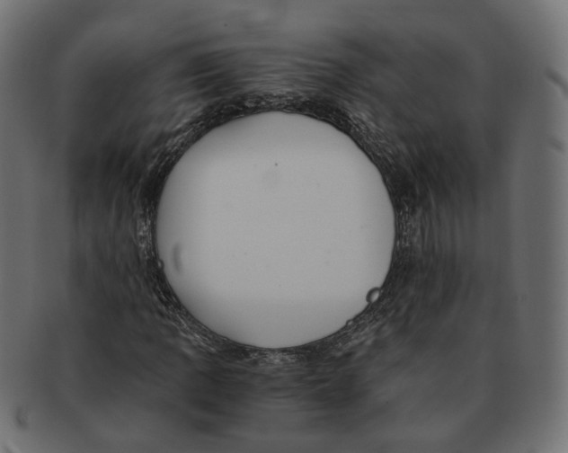 X0000091681109200709201233