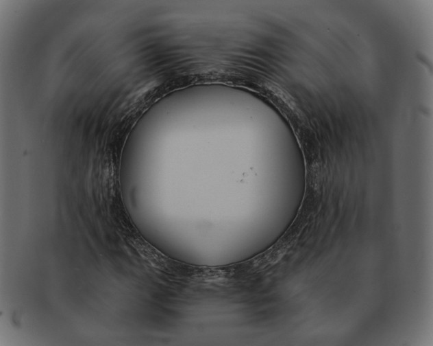 X0000091681111200709201233