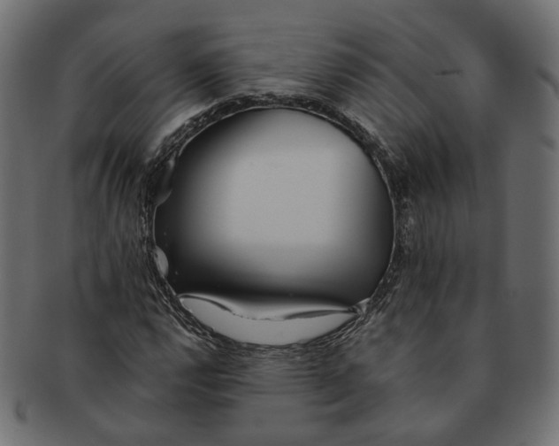 X0000091681112200709201233