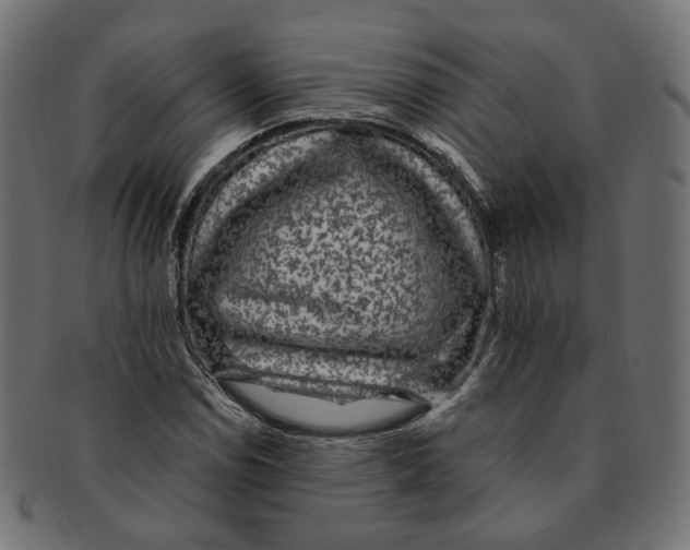 X0000091681114200709201233