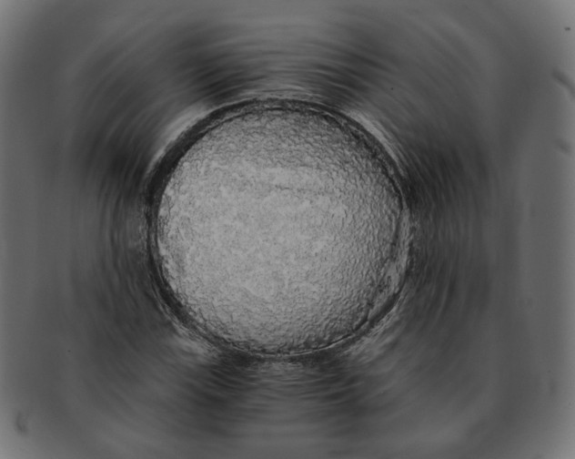 X0000091681115200709201233