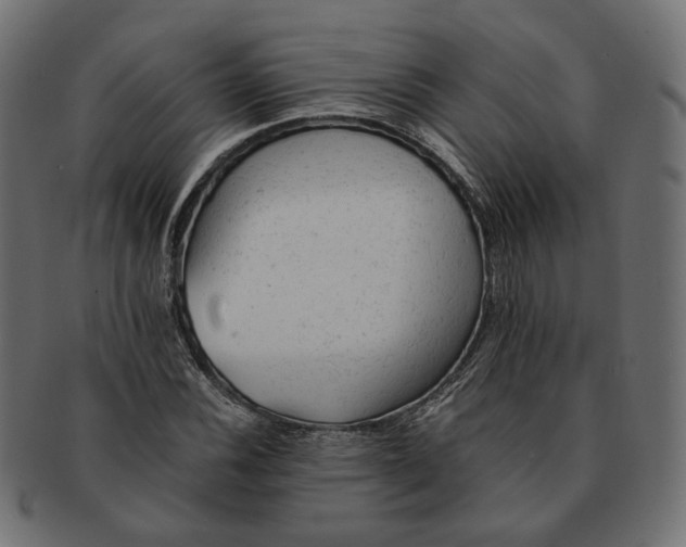 X0000091681116200709201233