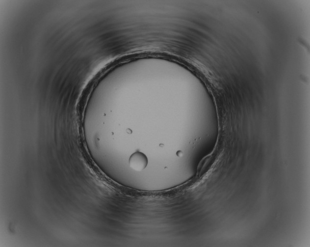 X0000091681118200709201233