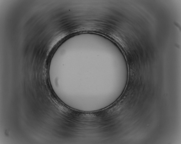 X0000091681119200709201233