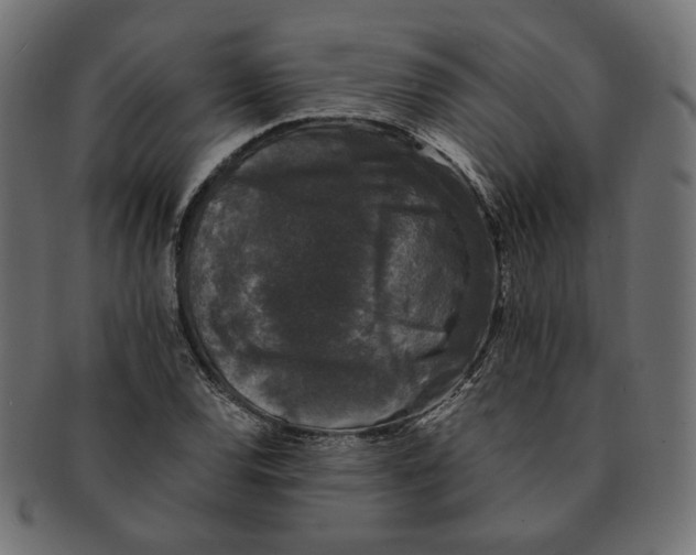 X0000091681120200709201233