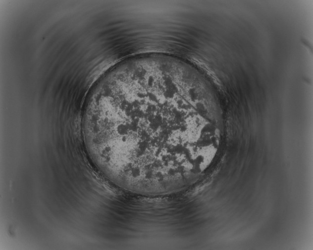 X0000091681121200709201233