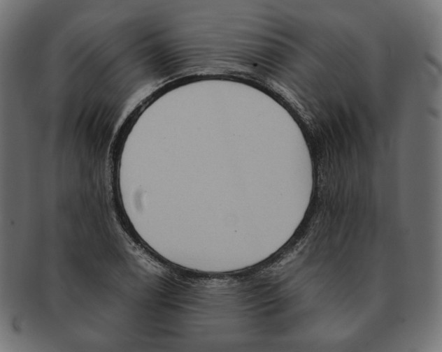 X0000091681122200709201233