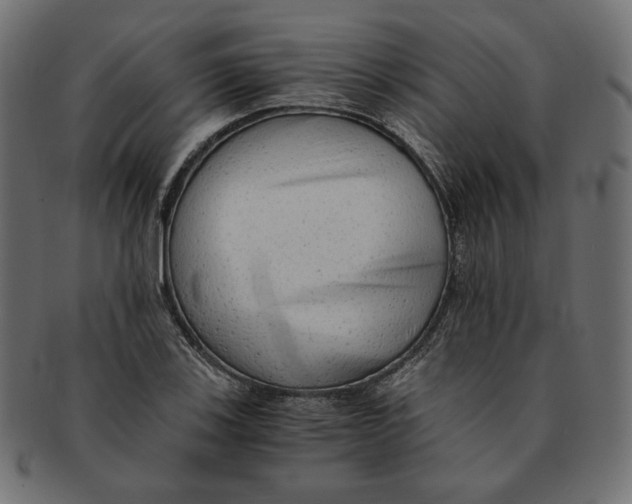 X0000091681123200709201233