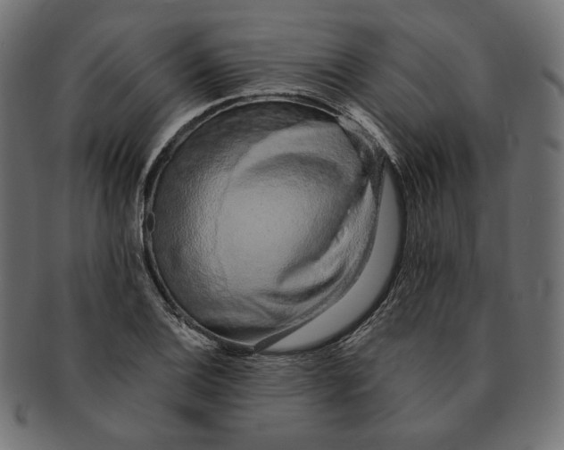 X0000091681124200709201233