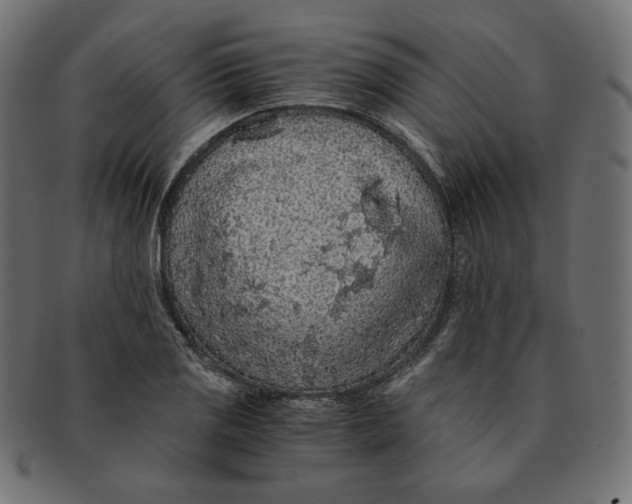 X0000091681125200709201233