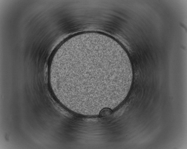 X0000091681126200709201233