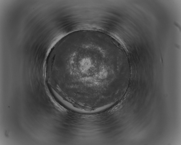 X0000091681128200709201233