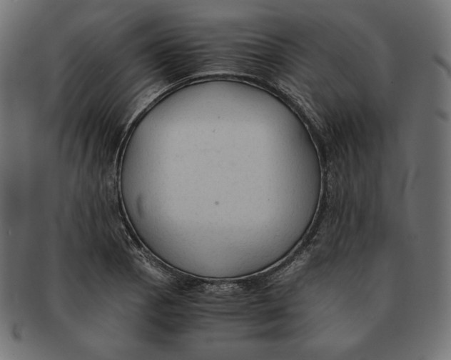 X0000091681129200709201233