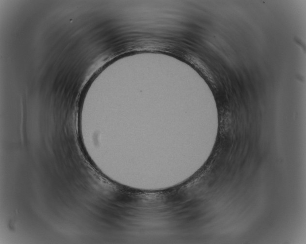 X0000091681130200709201233