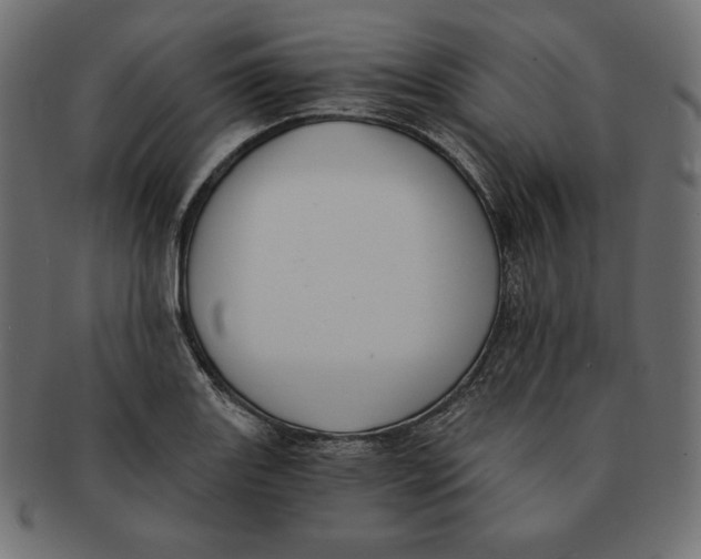 X0000091681131200709201233