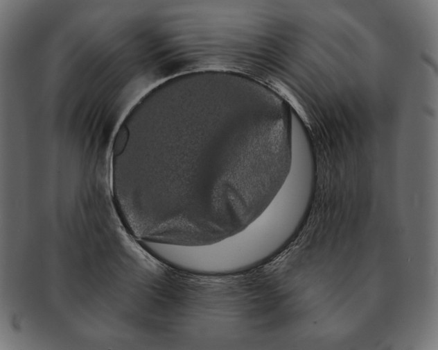 X0000091681132200709201233