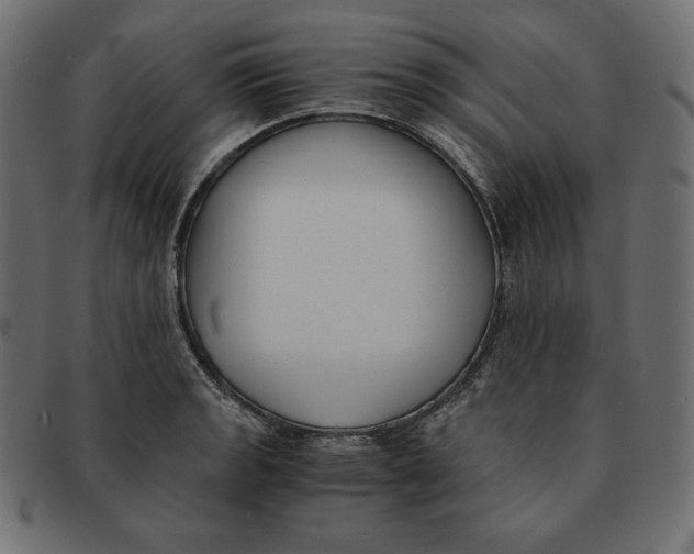 X0000091681133200709201233