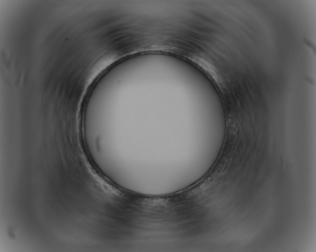 X0000091681135200709201233