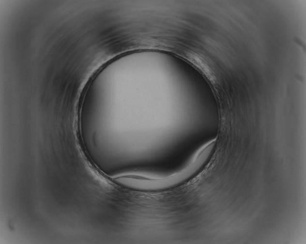 X0000091681136200709201233