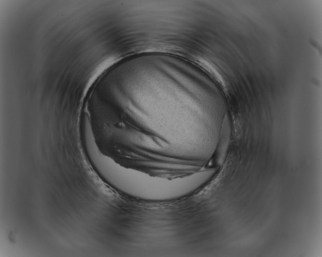 X0000091681138200709201233