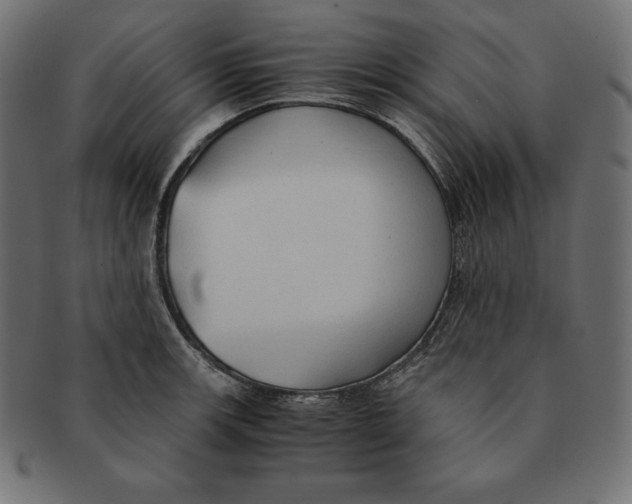 X0000091681139200709201234