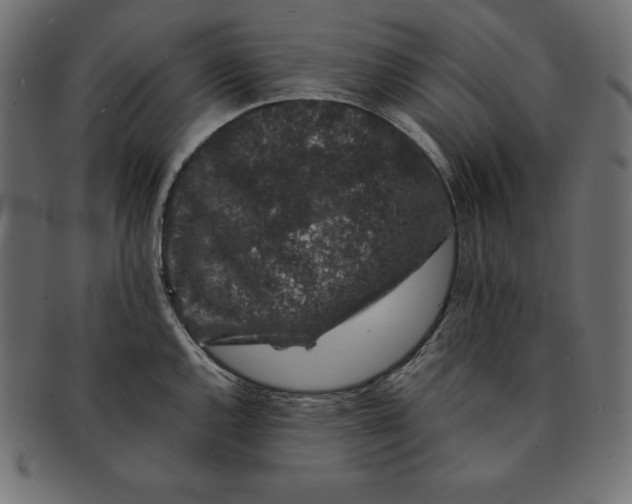 X0000091681144200709201234