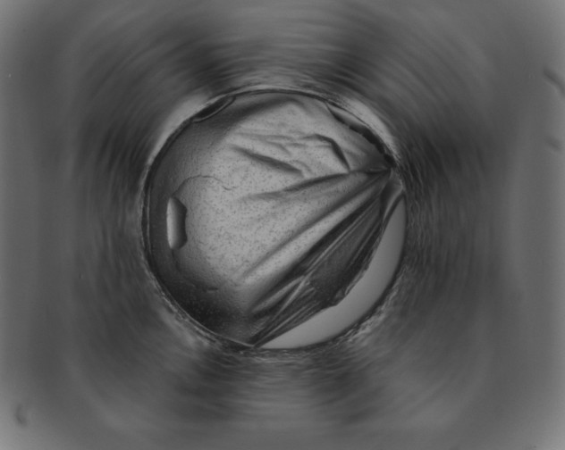 X0000091681146200709201234