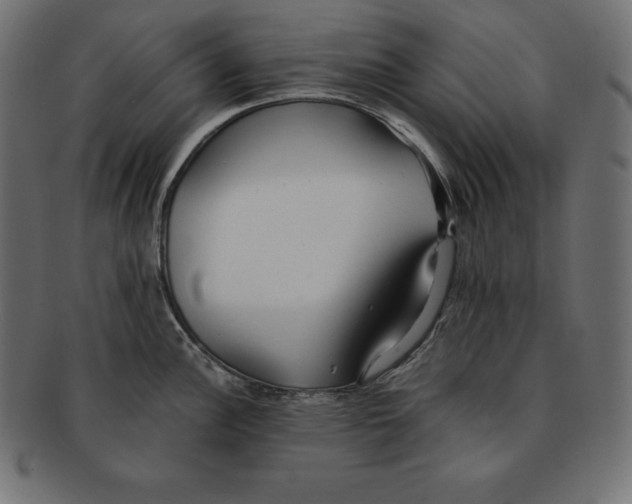 X0000091681148200709201234