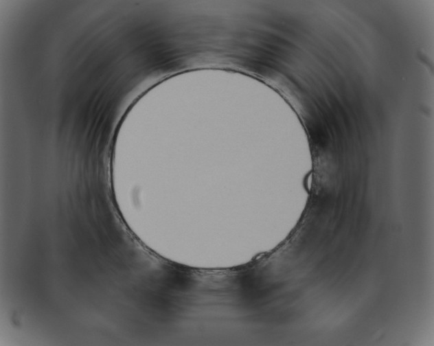 X0000091681150200709201234