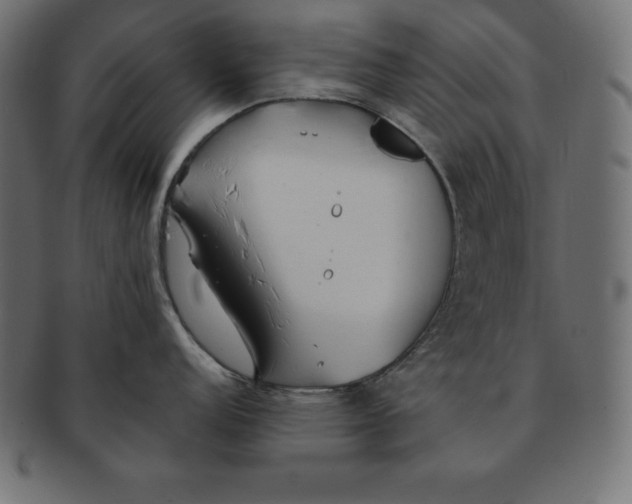 X0000091681152200709201234