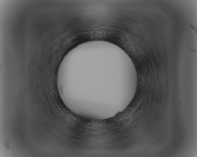 X0000091681153200709201233