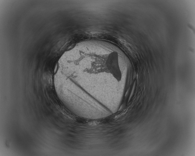 X0000091681155200709201233