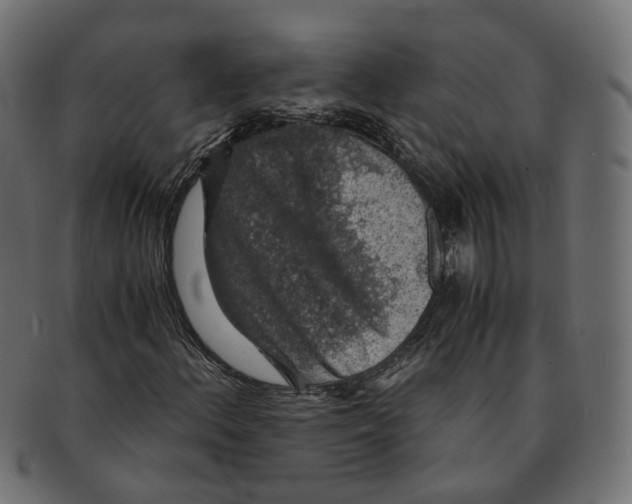 X0000091681156200709201233