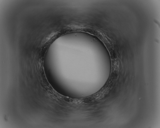 X0000091681157200709201233